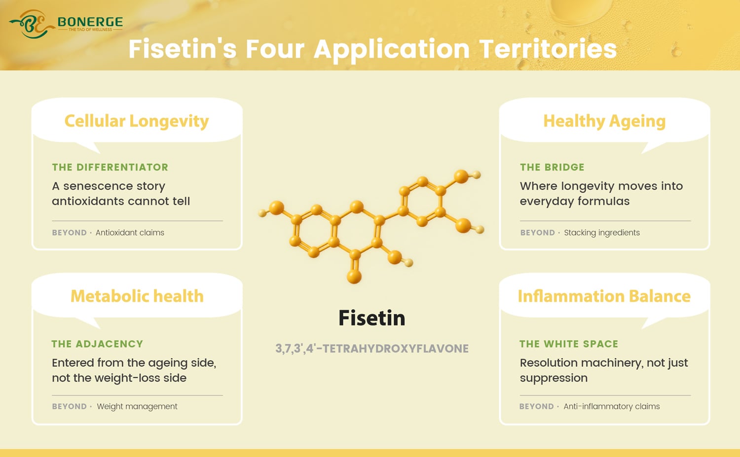 What fisetin is good for: four application territories, from senolytic cellular longevity to healthy aging, metabolic health and inflammatory balance