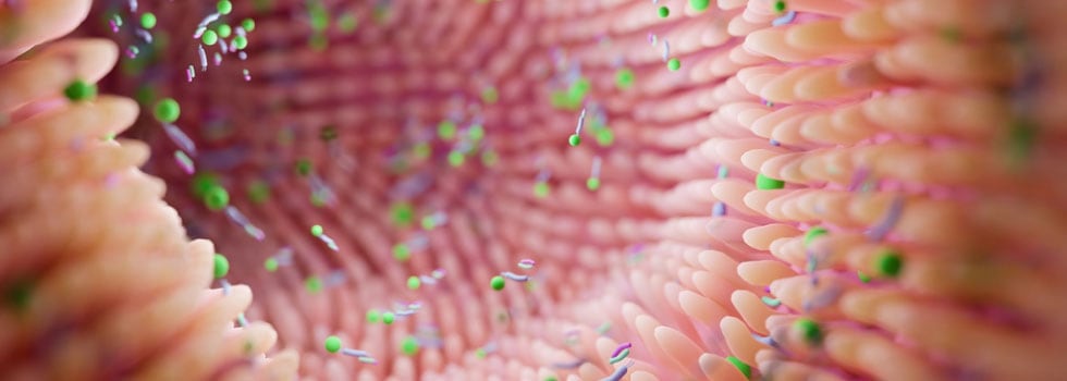Iron-absorption-and-effect-on-intestinal-microbiota-with-Sideral.jpg
