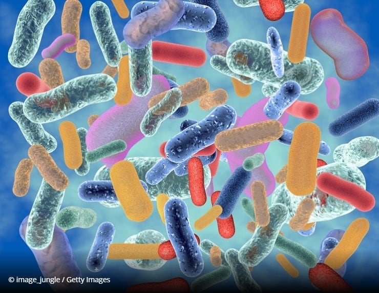 Imperial-College-London-creates-microbiome-test-and-Industry-Club.jpg