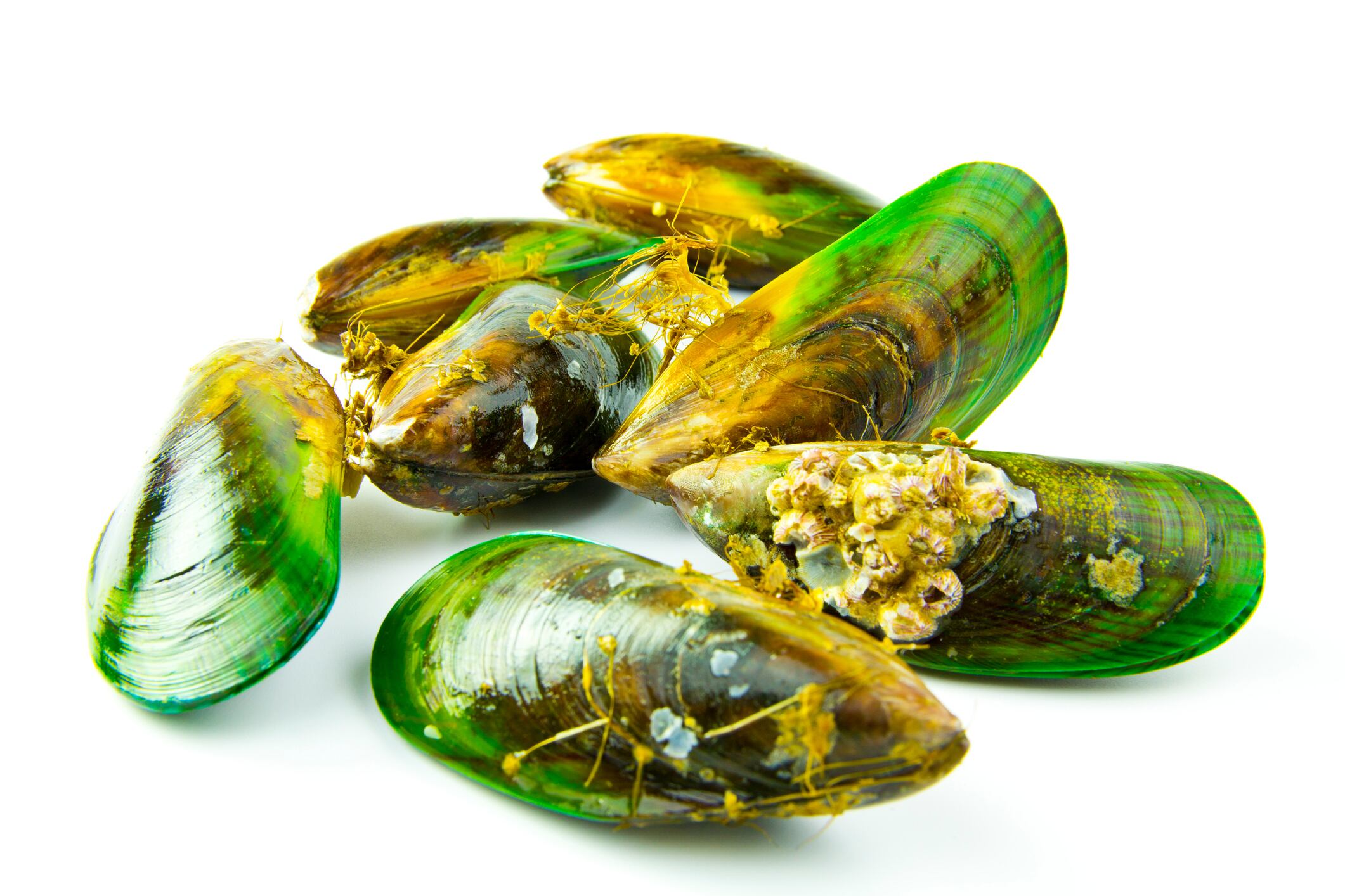 Green-Lipped-Mussels-C-Getty-Images-DPFishCo.jpg