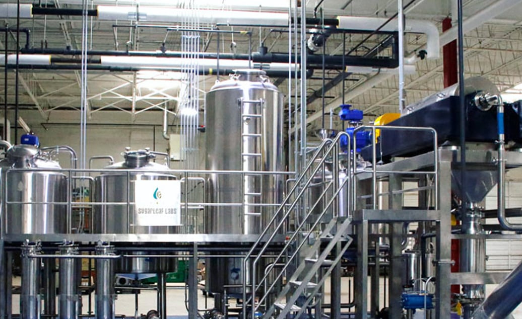 Neptune offers shares to media company in CBD partnership