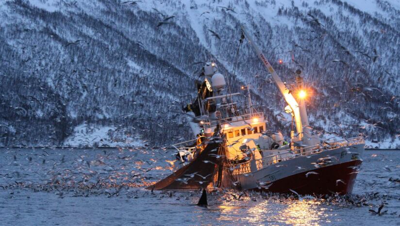Berkem-teams-with-Arctic-Bioscience-to-launch-B-Romega-in-North-America.jpg