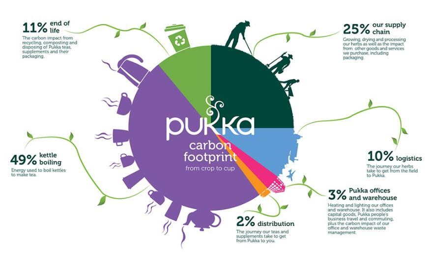 Pukka-carbon.jpg