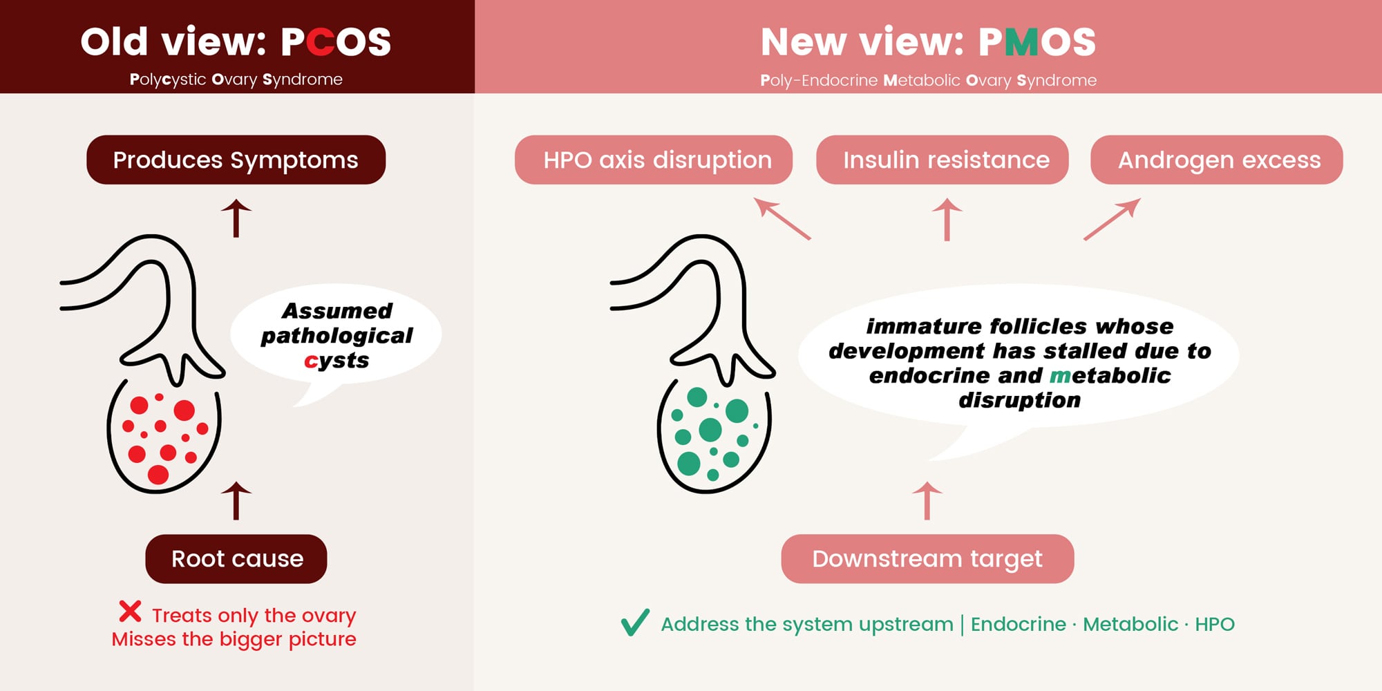PCOS vs PMOS comparison diagram: ovary as downstream target of HPO axis disruption, insulin resistance, and androgen excess