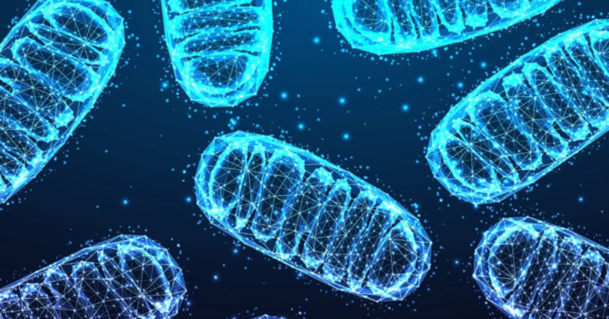 A round-up of the latest science A round-up of the latest science