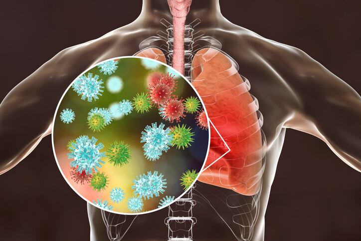 Indena’s phytosome delivery system increases bioavailability of quercetin for asthma control
