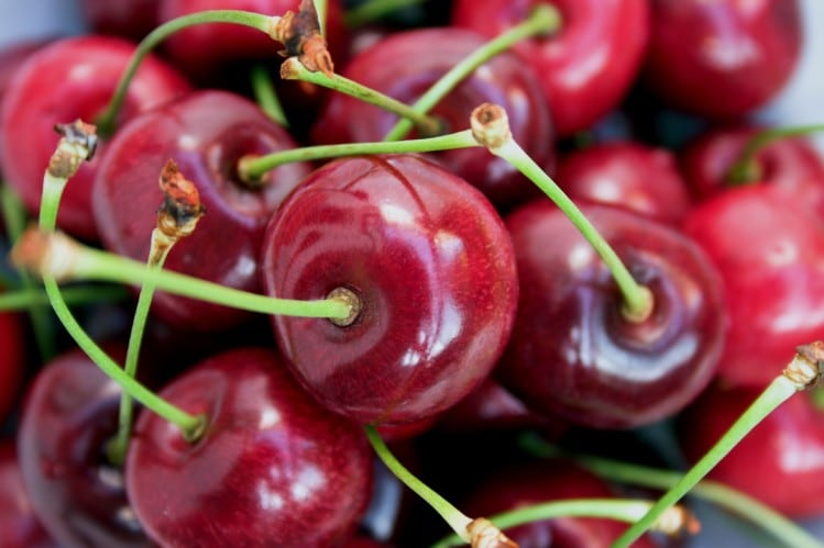 Drinking tart cherry juice may improve gut health, says new study