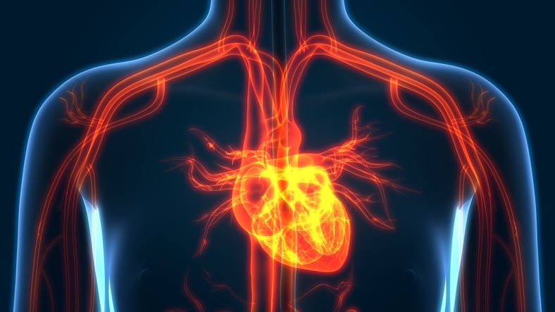 Nattopharma builds case for RDI for vitamin K2