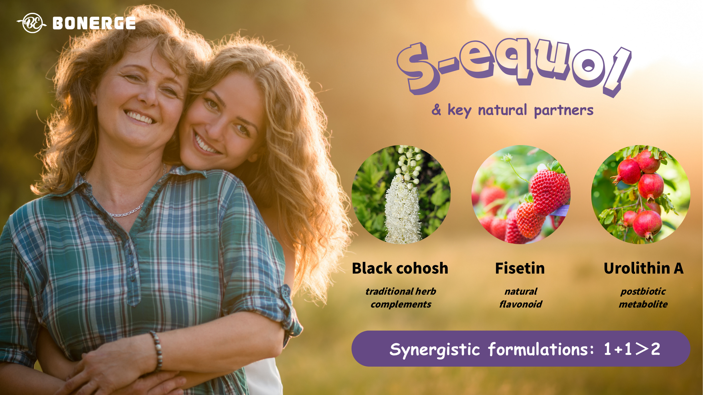 Figure 3: S-equol & Key Natural Partners - Black Cohosh, Fisetin, Urolithin A Synergistic Formulations for Women's Health - Bonerge