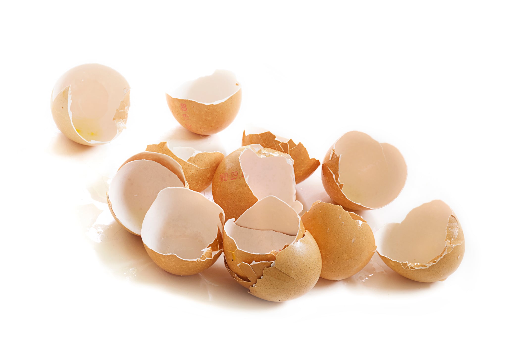 Eggshell-C-Getty-Images-fermate.jpg