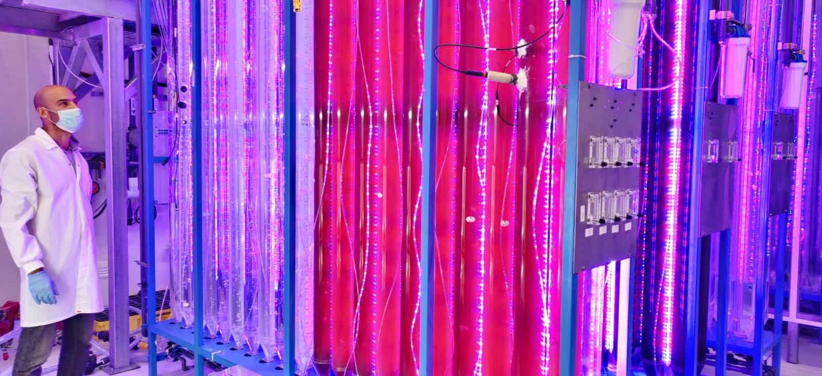 Startup's next-gen platform cultivates customised microalgae on demand