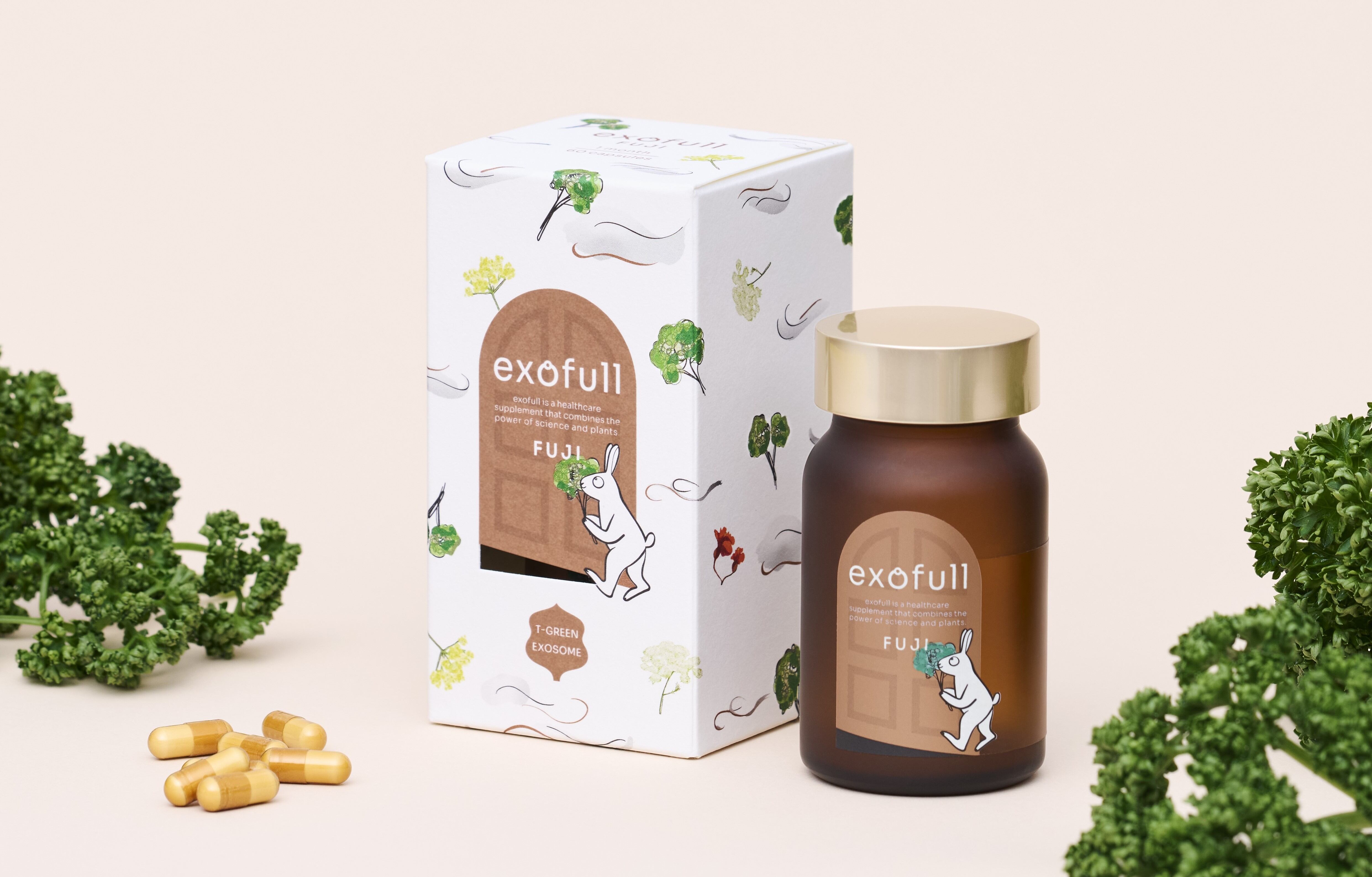 Japanese start-up debuts aging-support supplement made from parsley-derived exosomes