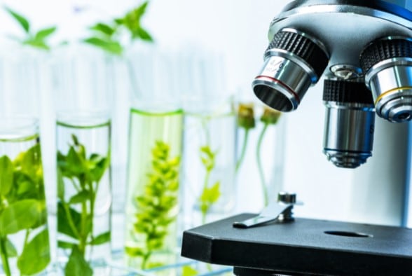 New-Trinity-College-Dublin-centre-seeks-to-unlock-new-bioactives-for-next-gen-nutraceuticals.jpg