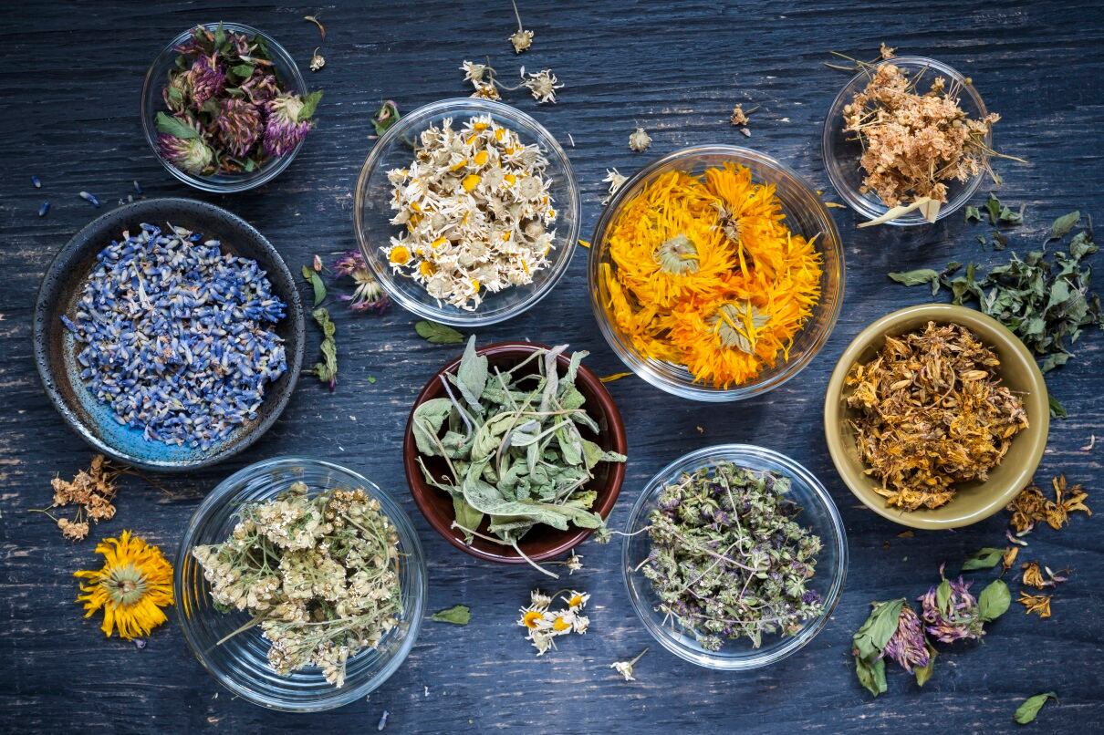 DNA testing reveals ‘widespread adulteration’ of herbal products