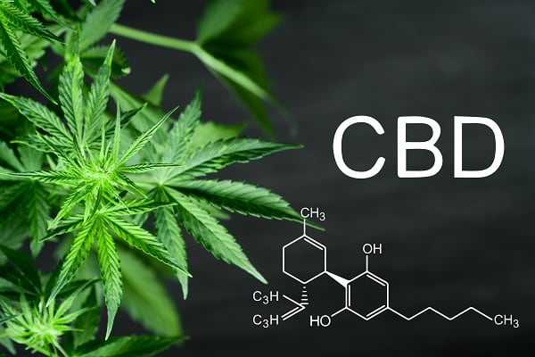 CBD and cosmetics in Austria: What is the legislative environment?