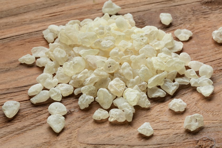 Chios-Mastiha-mastic-tears-Arabic-gum-tree-resin-botanicals-iStock.com-PicturePartners.jpg