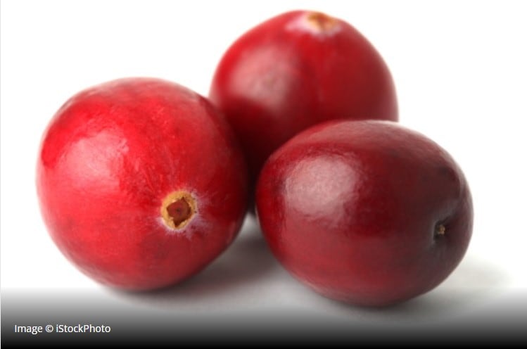 Cranberries may be more effective than antibiotics at tackling URIs, study says 