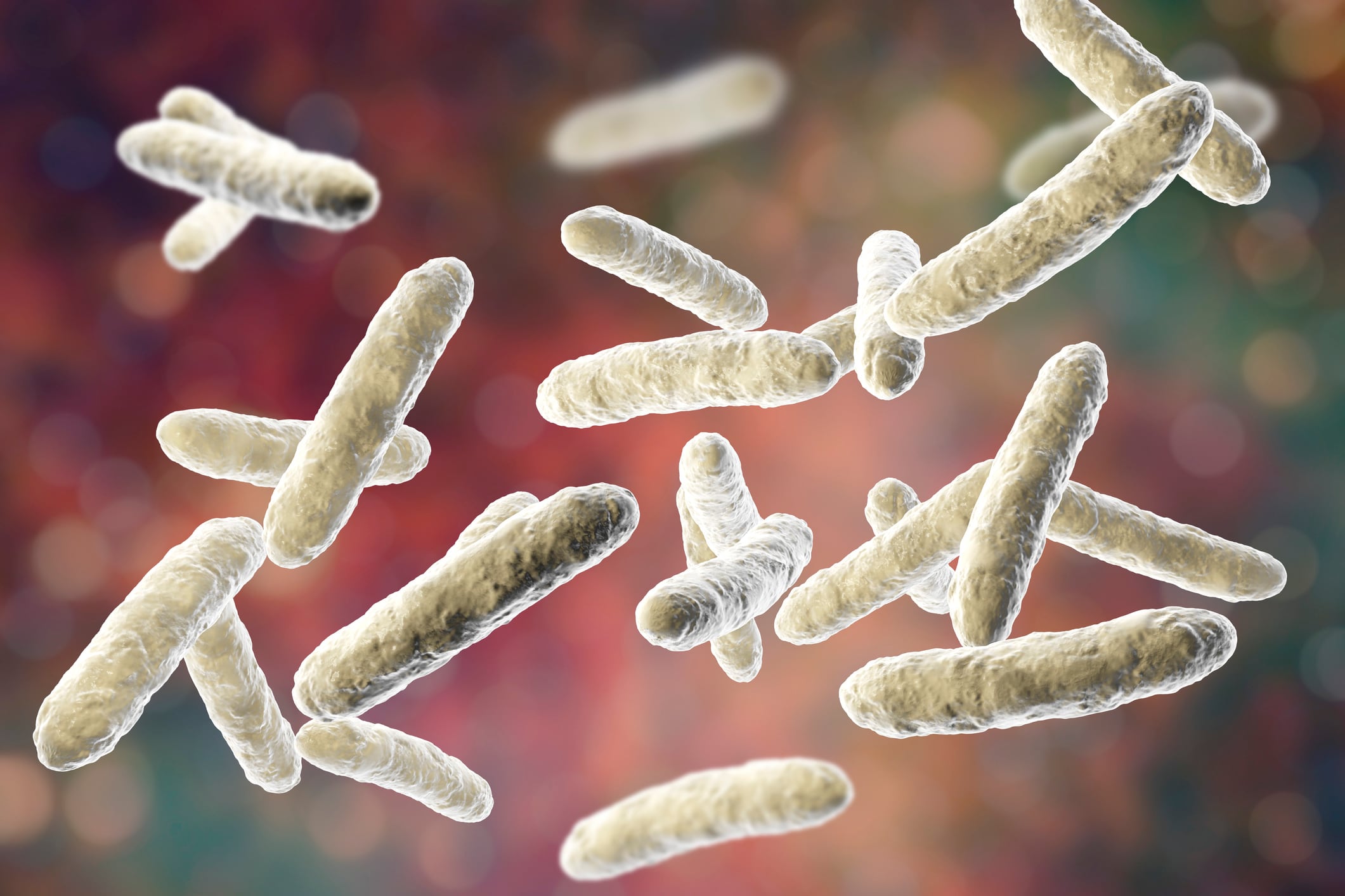 Synbiotics-may-offer-blood-sugar-management-potential-protect-gut-integrity-Study.jpg