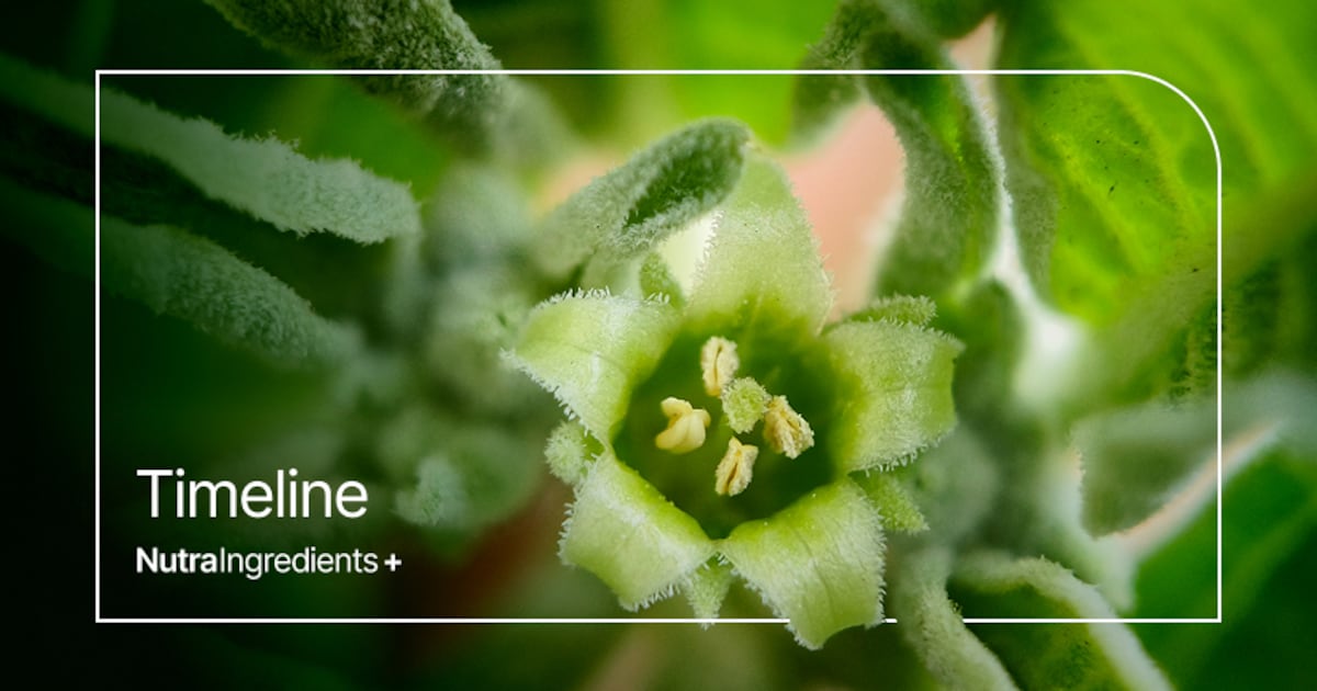 Timeline: Will authorities de-throne the King of Herbs?