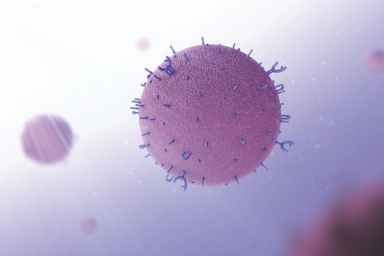 Awareness of MFGM growing