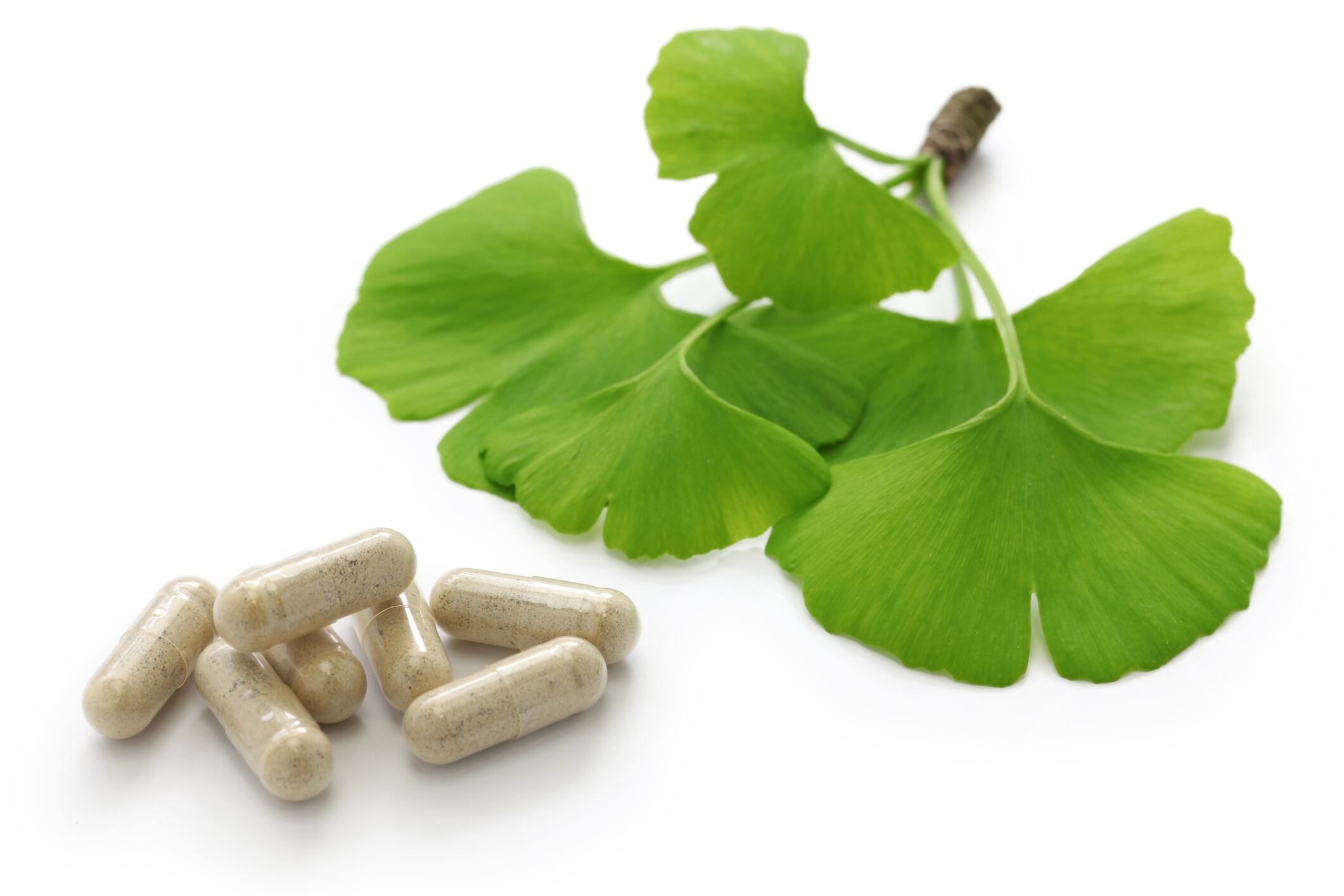 Germany confirms ginkgo biloba dry extract product is a medicine