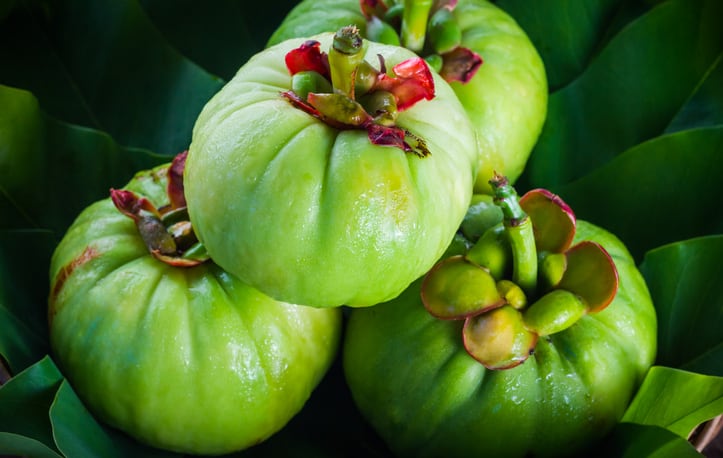 garcinia-cambogia.png
