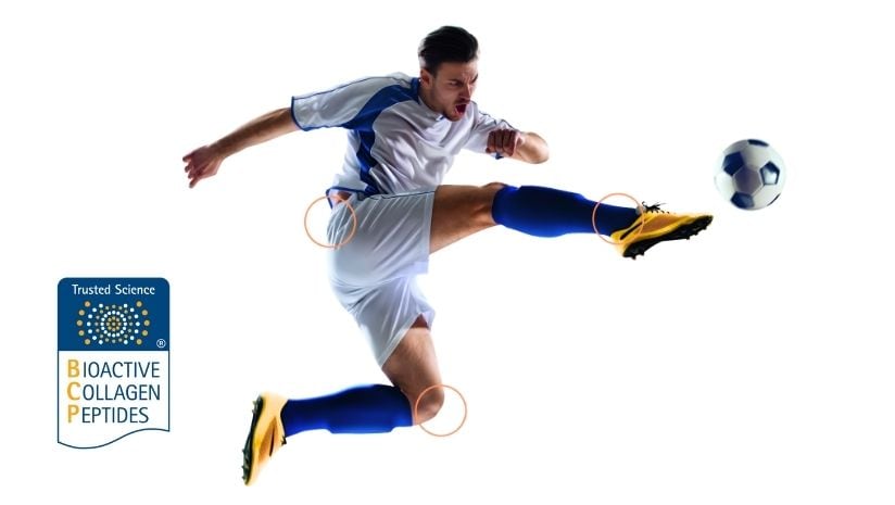 The Power of Bioactive Collagen Peptides®