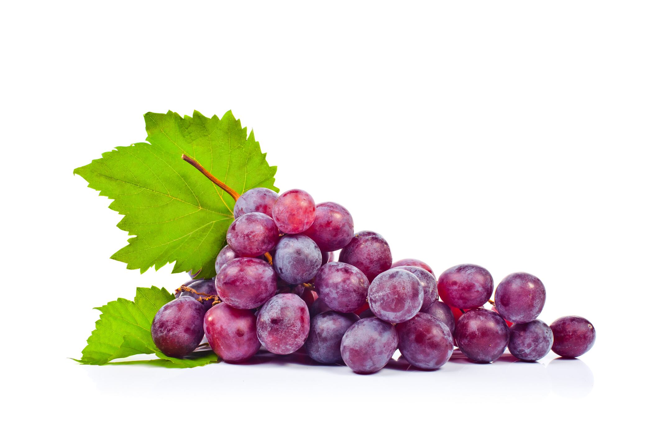 Bionap-self-affirms-GRAS-status-for-standardized-grape-extract.jpg