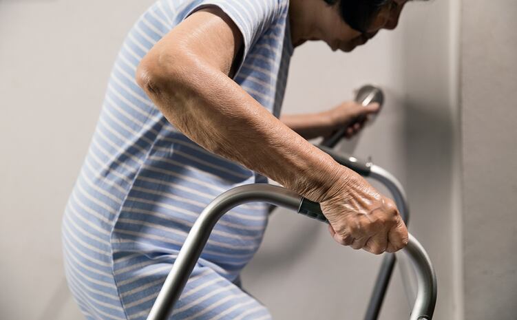 Paper suggests looking at microbiome changes as way to judge effect of protein, fiber intake in older adults