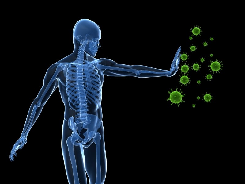 immune-immunity-defense.jpg