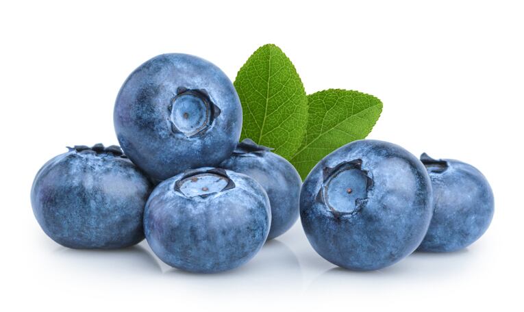 Single-dose-of-blueberry-polyphenols-boosts-cognitive-performance-in-middle-aged-adults.jpg