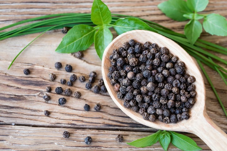 Piper genus has huge untapped potential, researchers say