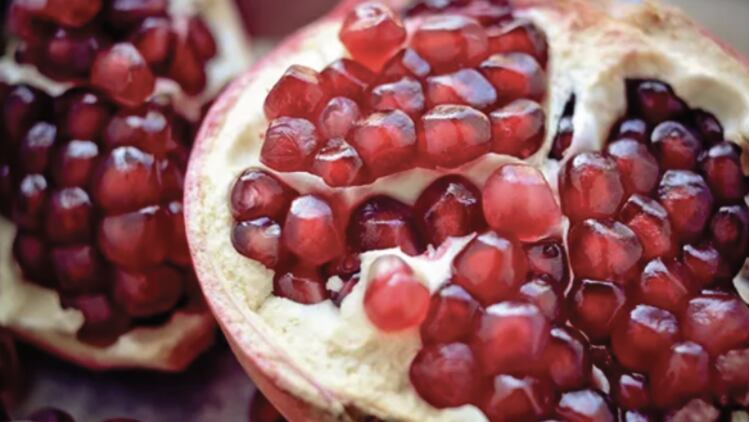 Pomella-R-pomegranate-extract-potential-as-a-prebiotic.png