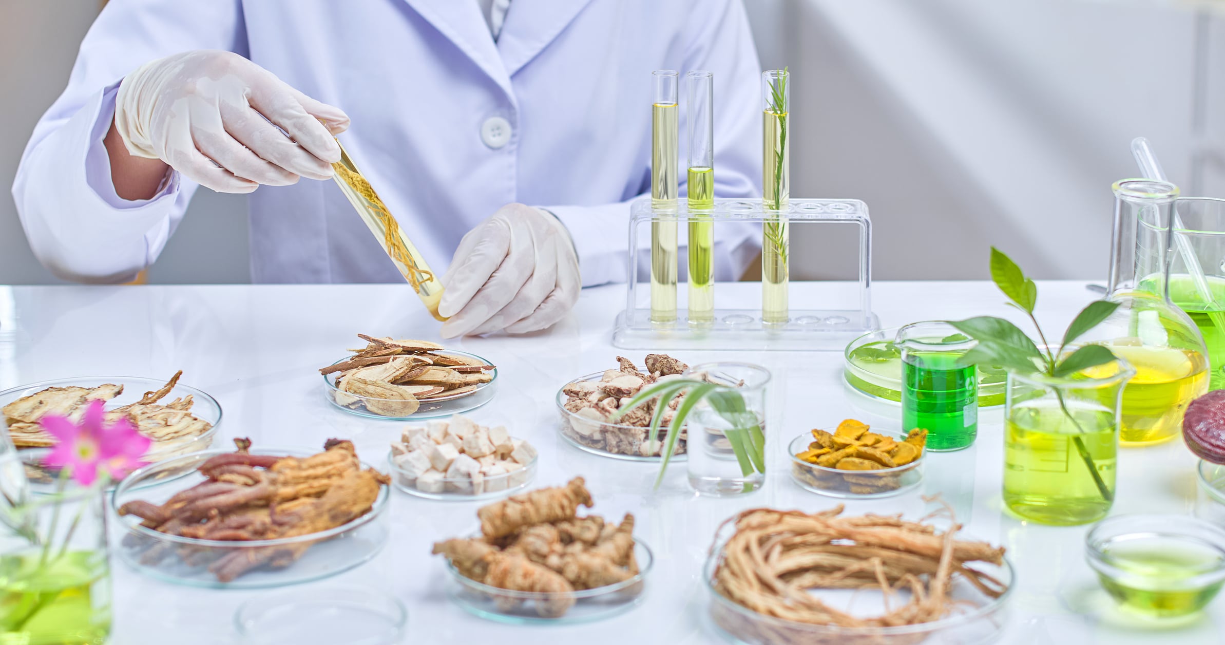 A scientist wearing lab coat and gloves is holding and examining a test tube filled with a yellow liquid, with various plants, beakers and other lab equipment in the background. Sample photo for lab.