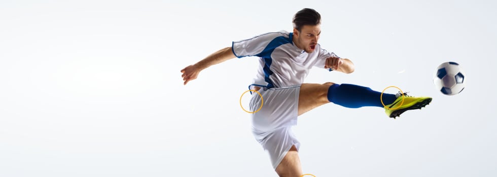 Bioactive-Collagen-Peptides-support-Sports-Nutrition.png