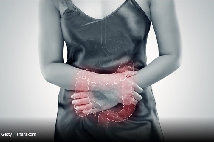 Understanding-gut-response-to-high-fat-meals-key-to-effective-IBD-treatments-says-study.jpg