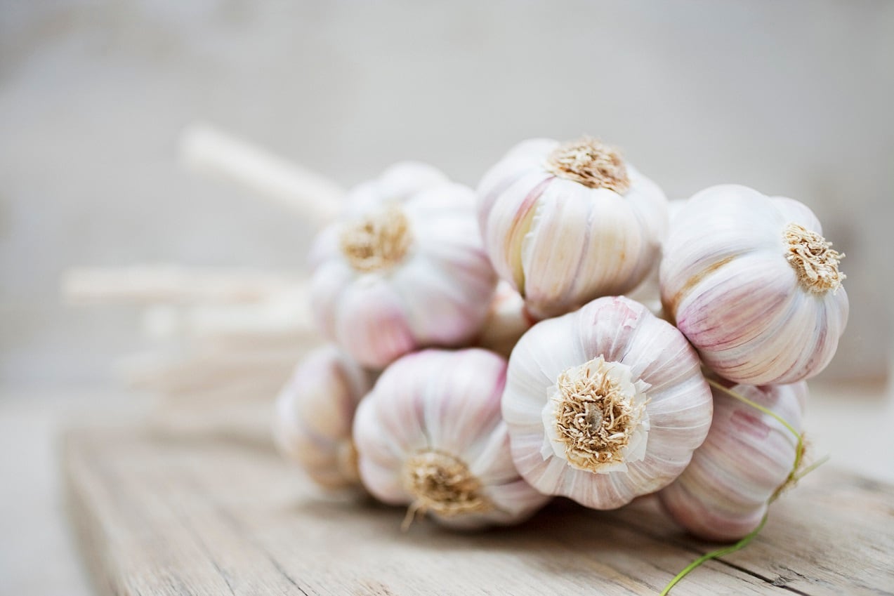 Brightseed & Olam partner to unlock novel bioactives in pepper & garlic