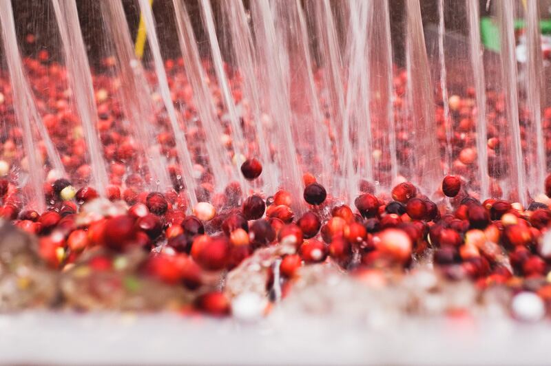 Qualified health claims will buoy cranberry sales, supplier says