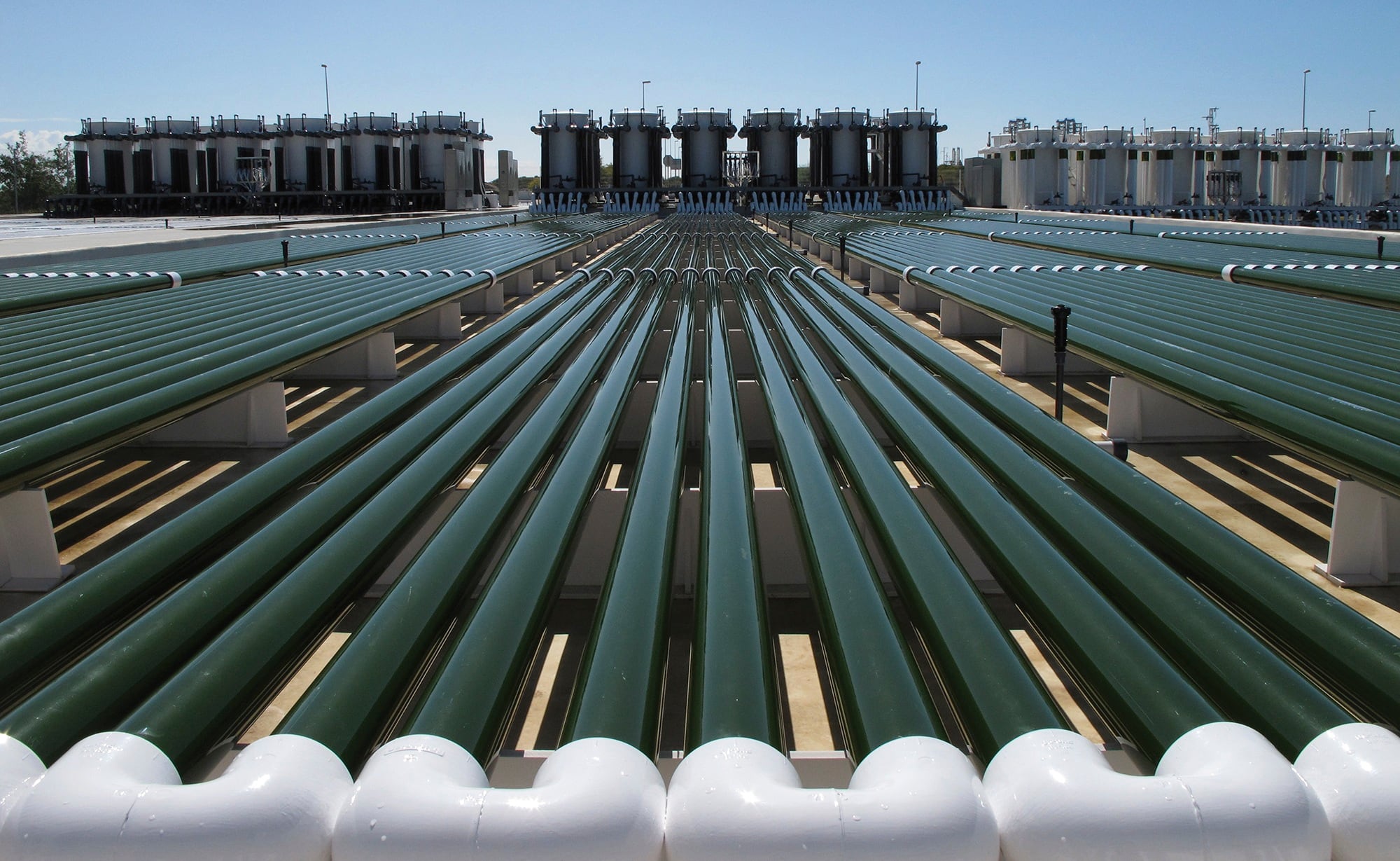 Fitoplancton Marino cultivates and harvests the microalgae Tetraselmis chuii in closed outdoor bioreactors in El Puerto de Santa Maria