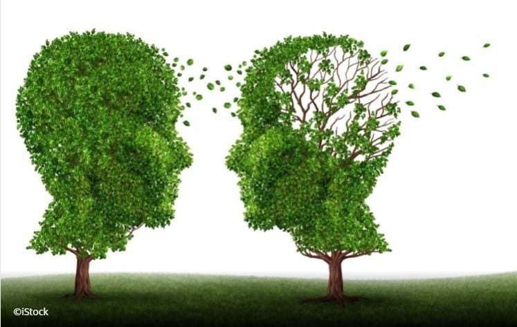 Correlations-found-between-gut-mycobiome-and-MS-Study.jpg