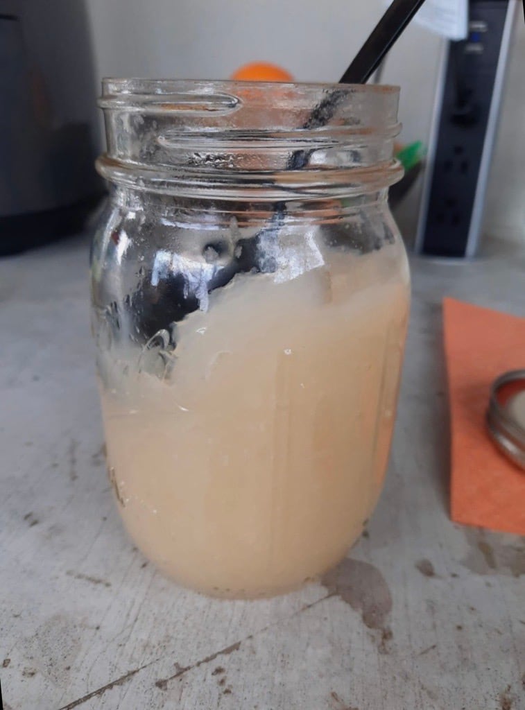 Sea moss gel—the most popular dietary supplement format—is made by blending dried sea moss with water.