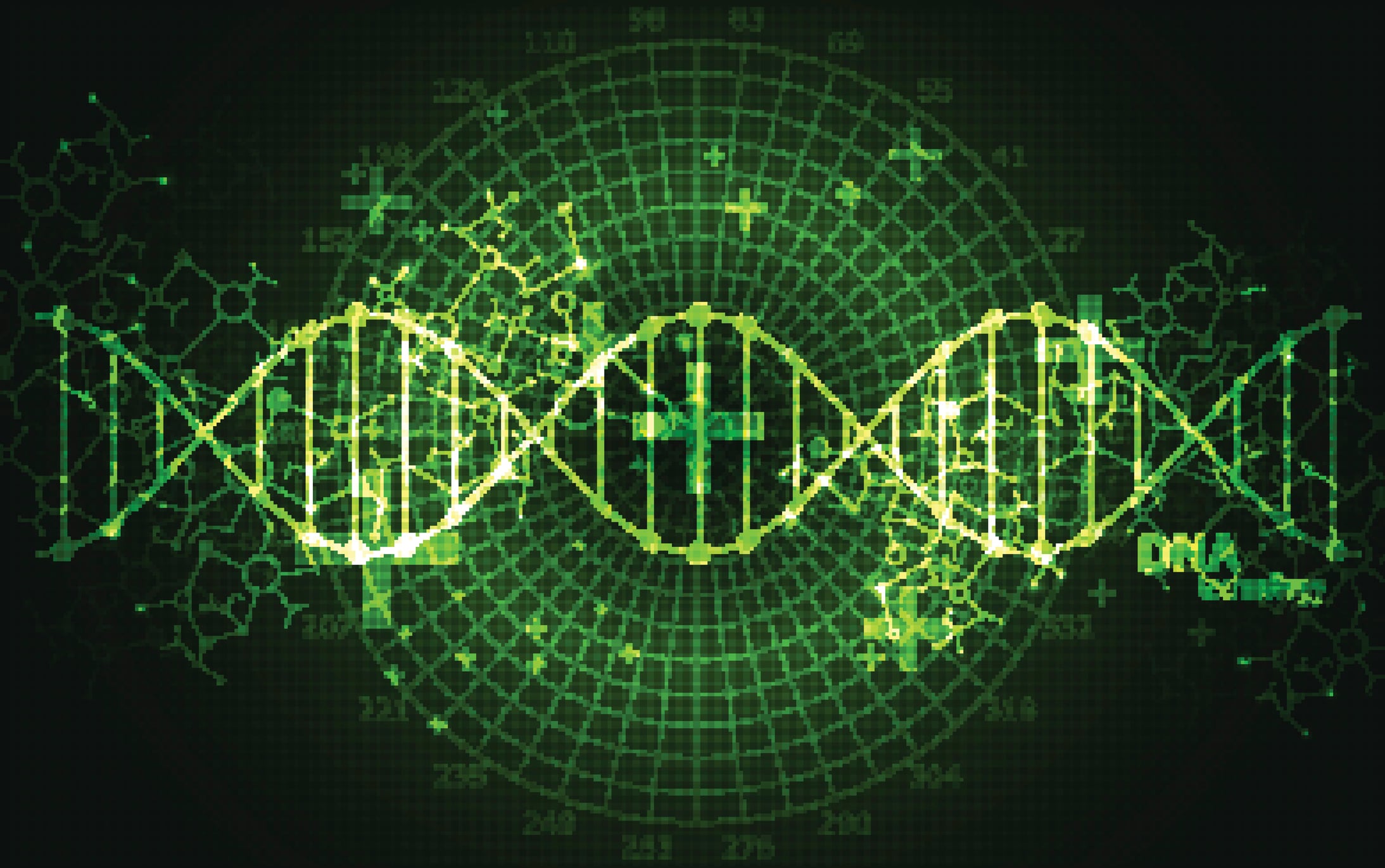 World's fastest: LATAM clinical nutrition market to witness 9% CAGR until 2025