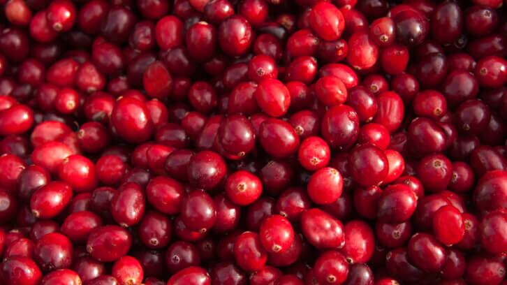 Ethical-Naturals-hails-bumper-harvest-for-Oregon-cranberries.jpg