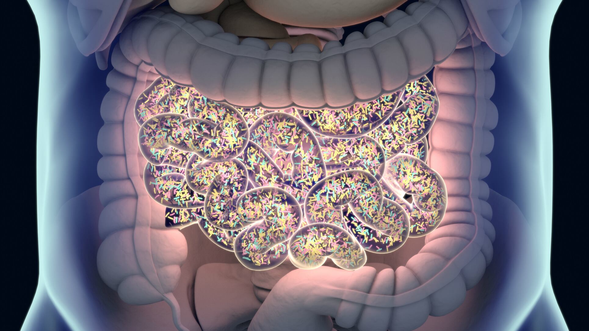 Prebiotics-and-probiotics-anti-inflammatory-antioxidant-properties-useful-to-NAFLD-patients-Iranian-study.jpg