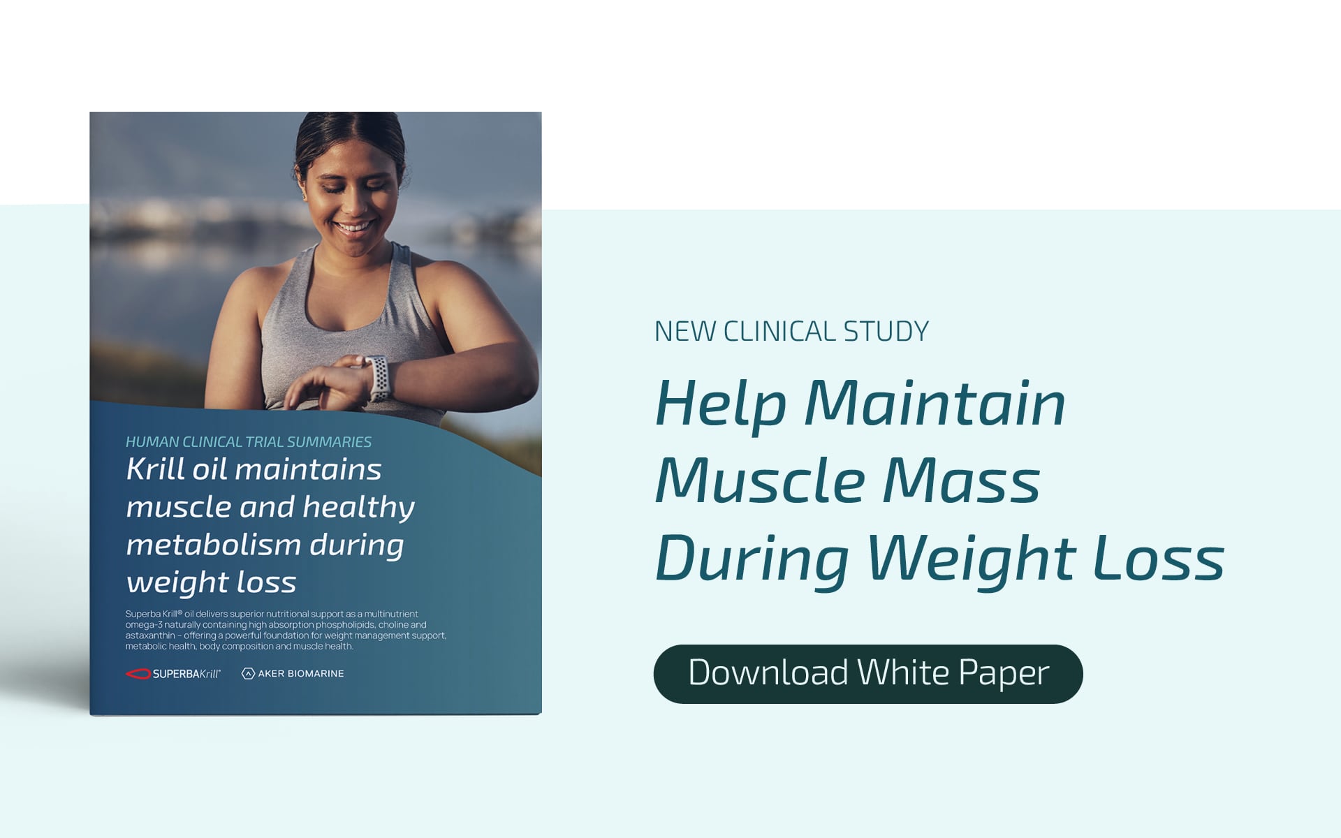 Help maintain muscle mass during weight loss