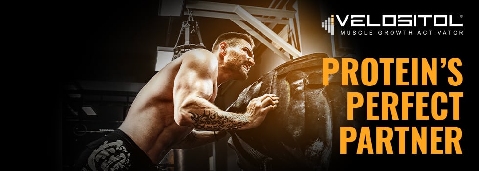 Nutrition21-s-Ingredient-Velositol-is-known-as-proteins-perfect-partner-and-the-benefits-are-surprising.jpg