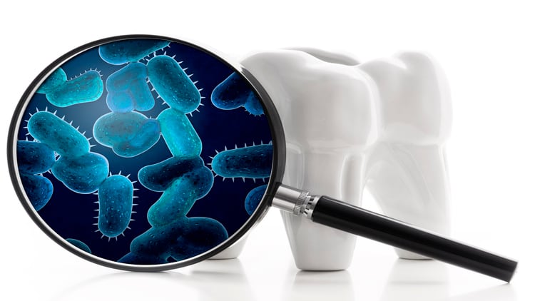 Probiotics can significantly reduce dental plaque accumulation, study finds