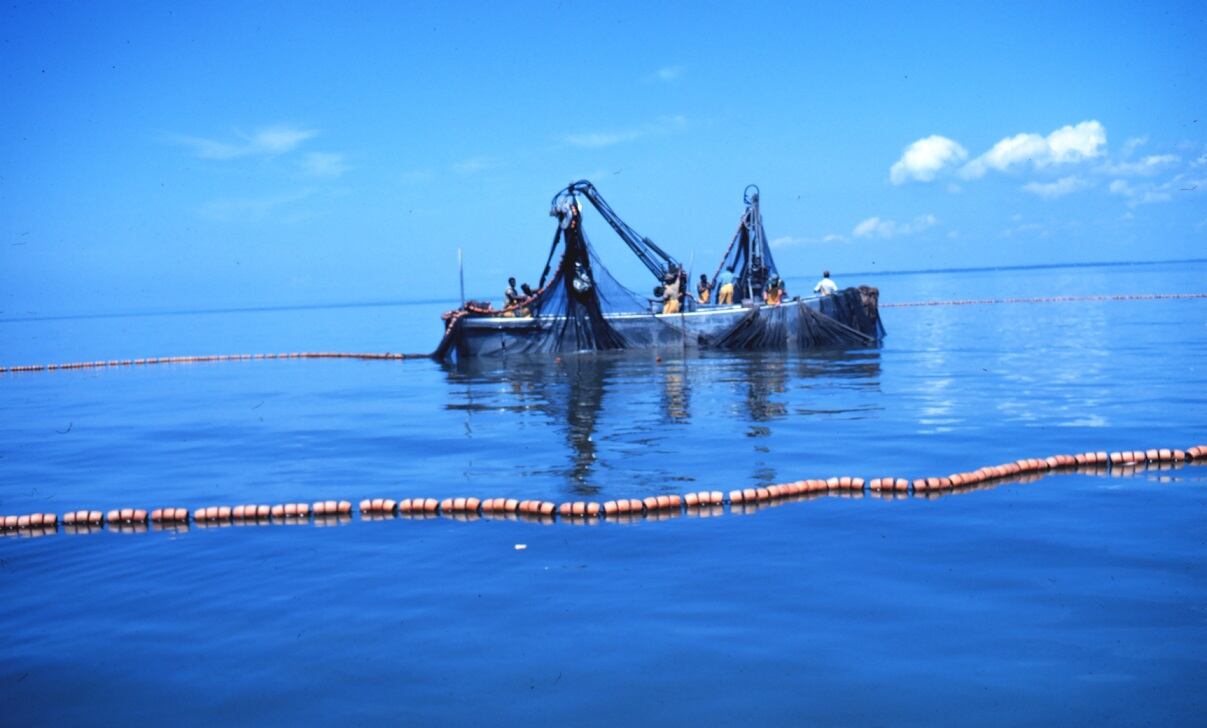Menhaden-fishing-purse-seine-boats-by-Robert-K.-Brigham-Image-ID-fish0704-NOAA-s-Fisheries-Collection.-Licensed-under-Public-domain-via-Wikime.jpg