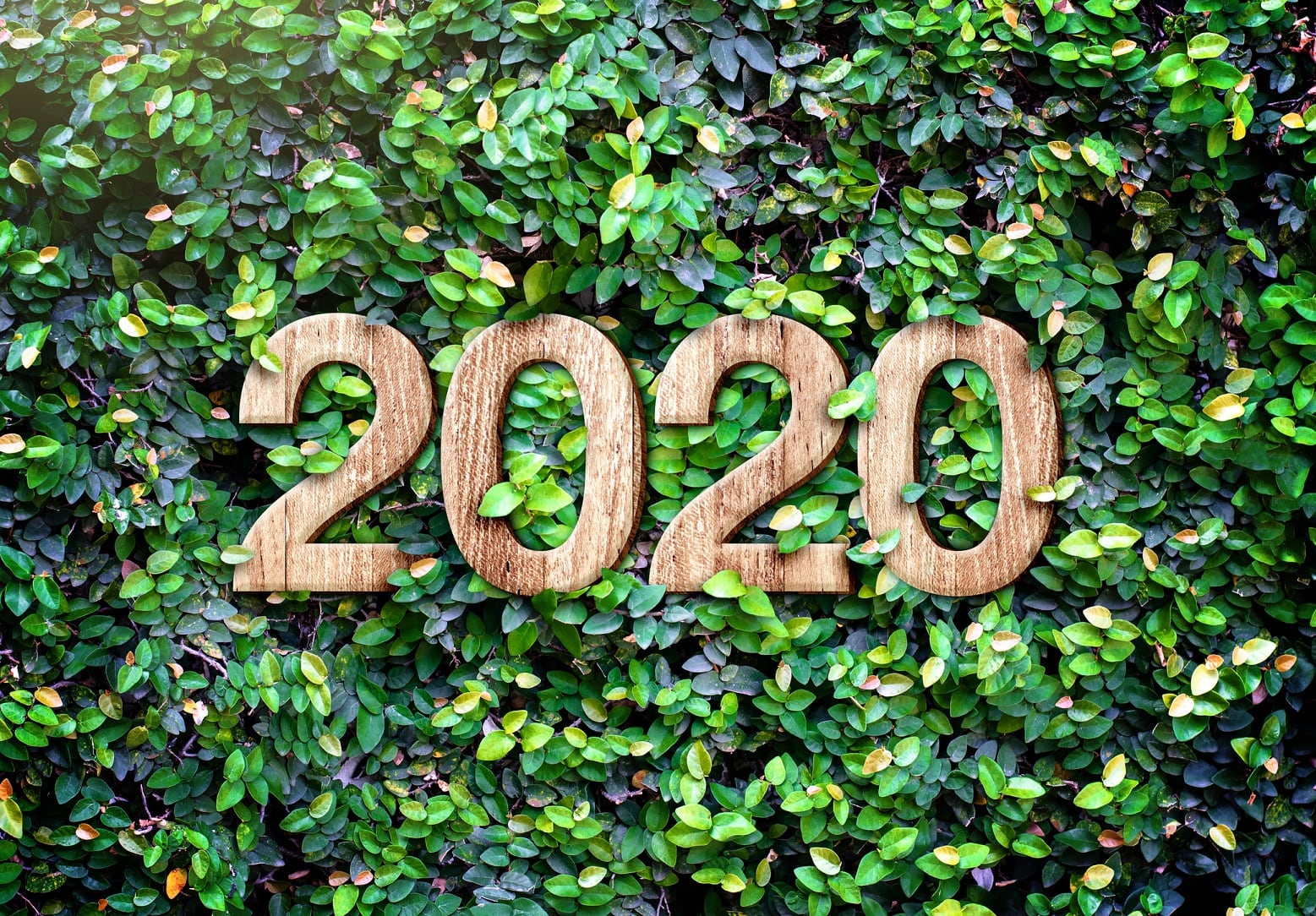2020-predictions-Staff-changes-at-FDA-CBD-personalization-and-the-microbiome.jpg