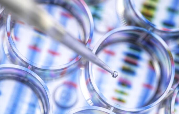 Interdisciplinary research, products and services innovation to drive the future of personalised nutrition – China industry association